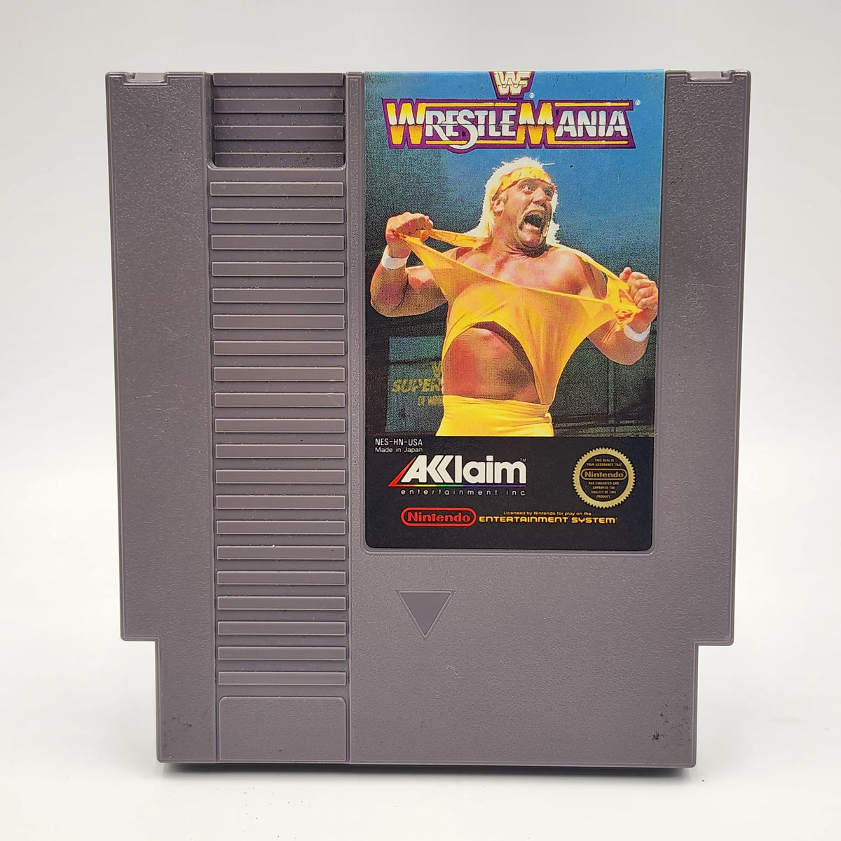 NES: Wrestlemaina